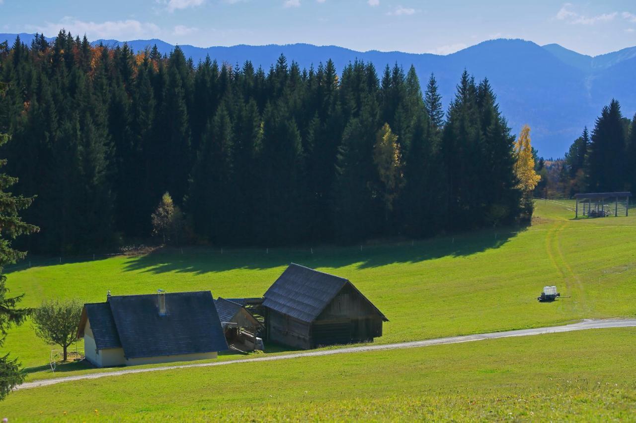 Cottage Zoja Bohinjska Bistrica Buitenkant foto